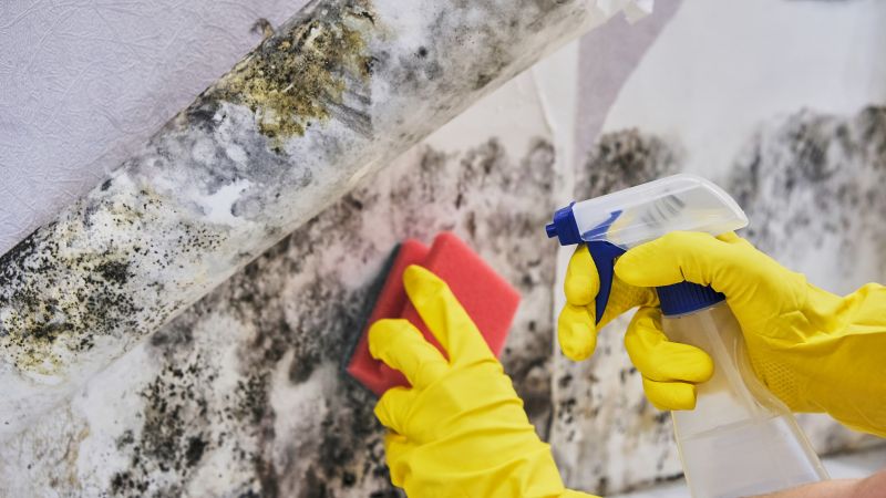 Air Duct Mold Removal in Bergen County, NJ