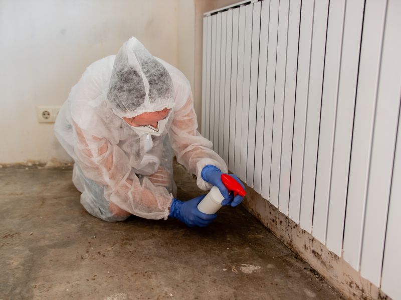 Air Duct Mold Removal in West Palm Beach, FL
