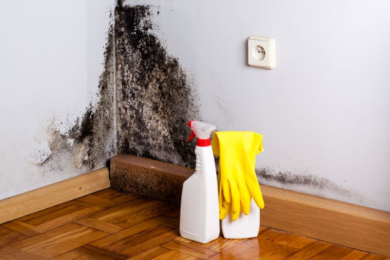 Attic Mold Remediation in Dallas, TX