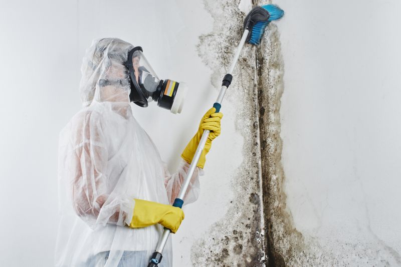 Attic Mold Remediation in Bergen County, NJ