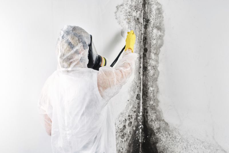 Basement Mold Remediation in Essex County, NJ