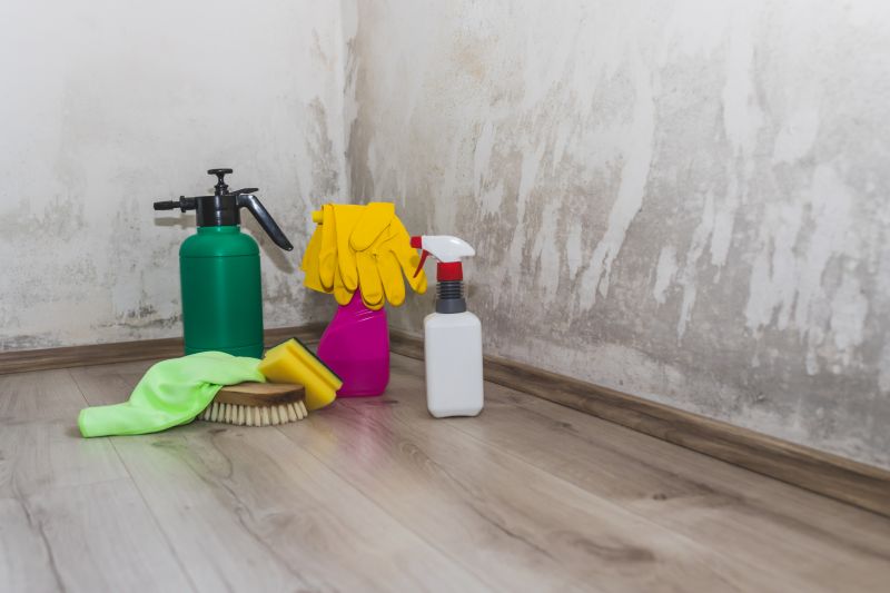 Garage Mold Remediation in Essex County, NJ