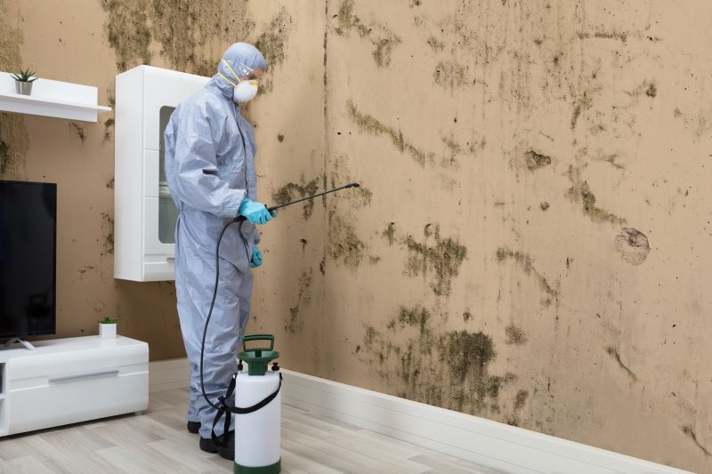 Mold Detection in Broward County, FL