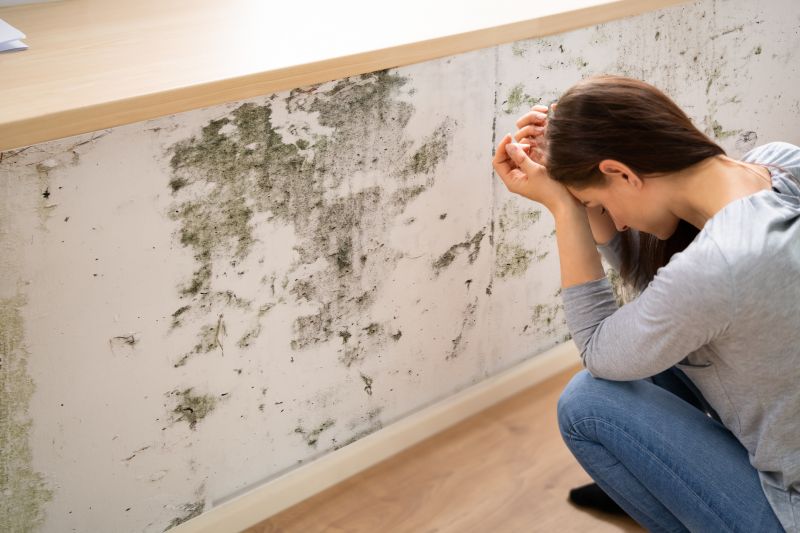 Mold Detection in Denton, TX