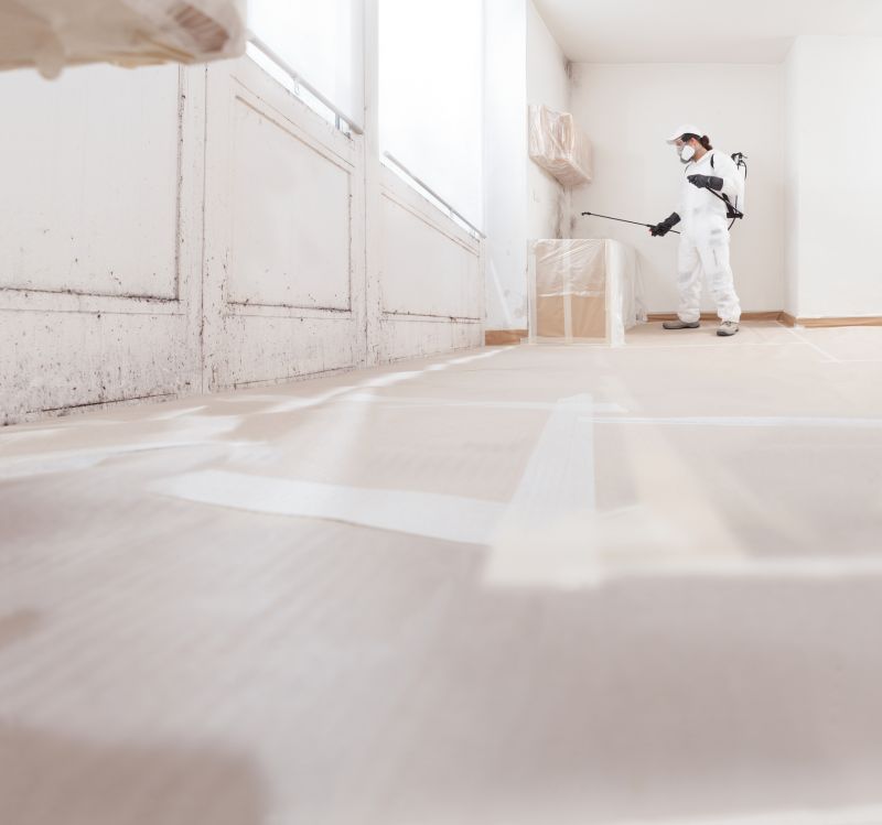 Mold Treatment Service in Fort Worth, TX