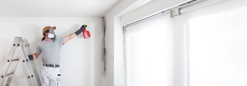 Mold Treatment Service in Bergen County, NJ