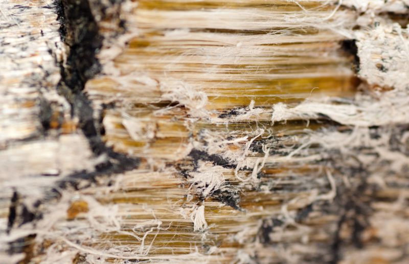 Local Vermiculite Removal Service in Warren, NJ