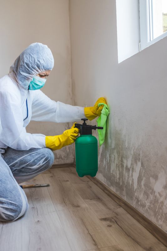 Basement Mold Remediation in Fort Worth, TX