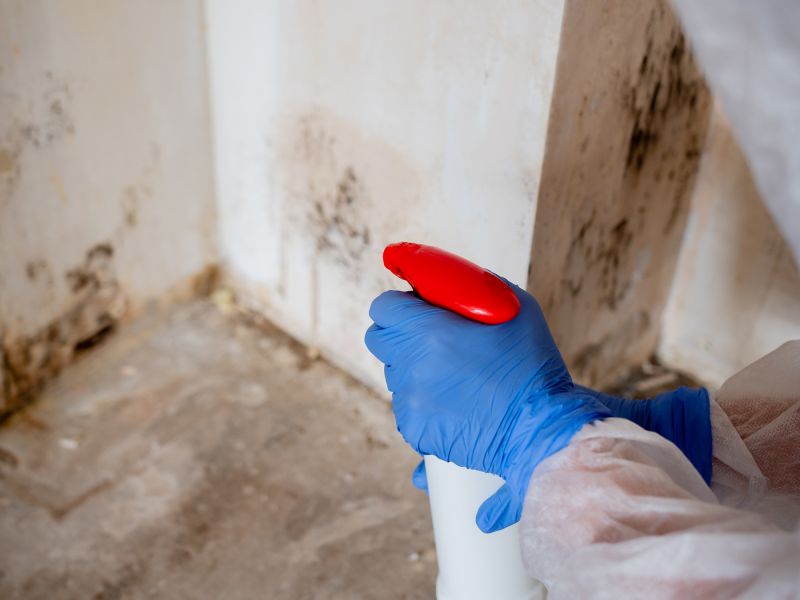 Mold Restoration in Broward County, FL