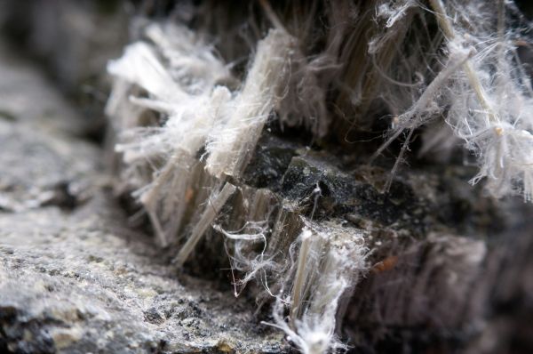 Asbestos Evaluation