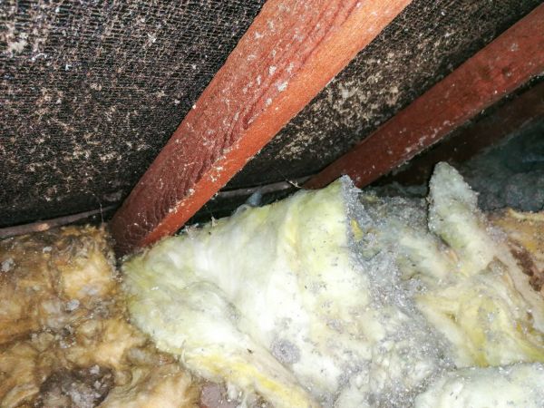 Basement Asbestos Abatement